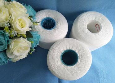 China 100% gesponnen Polyestergaren op Plastic Buis voor het Verven met OEKO-Certificaat leverancier